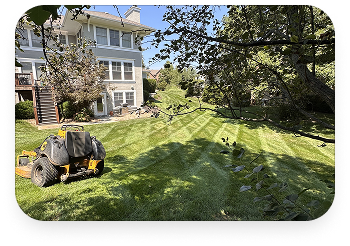 Lawn Care