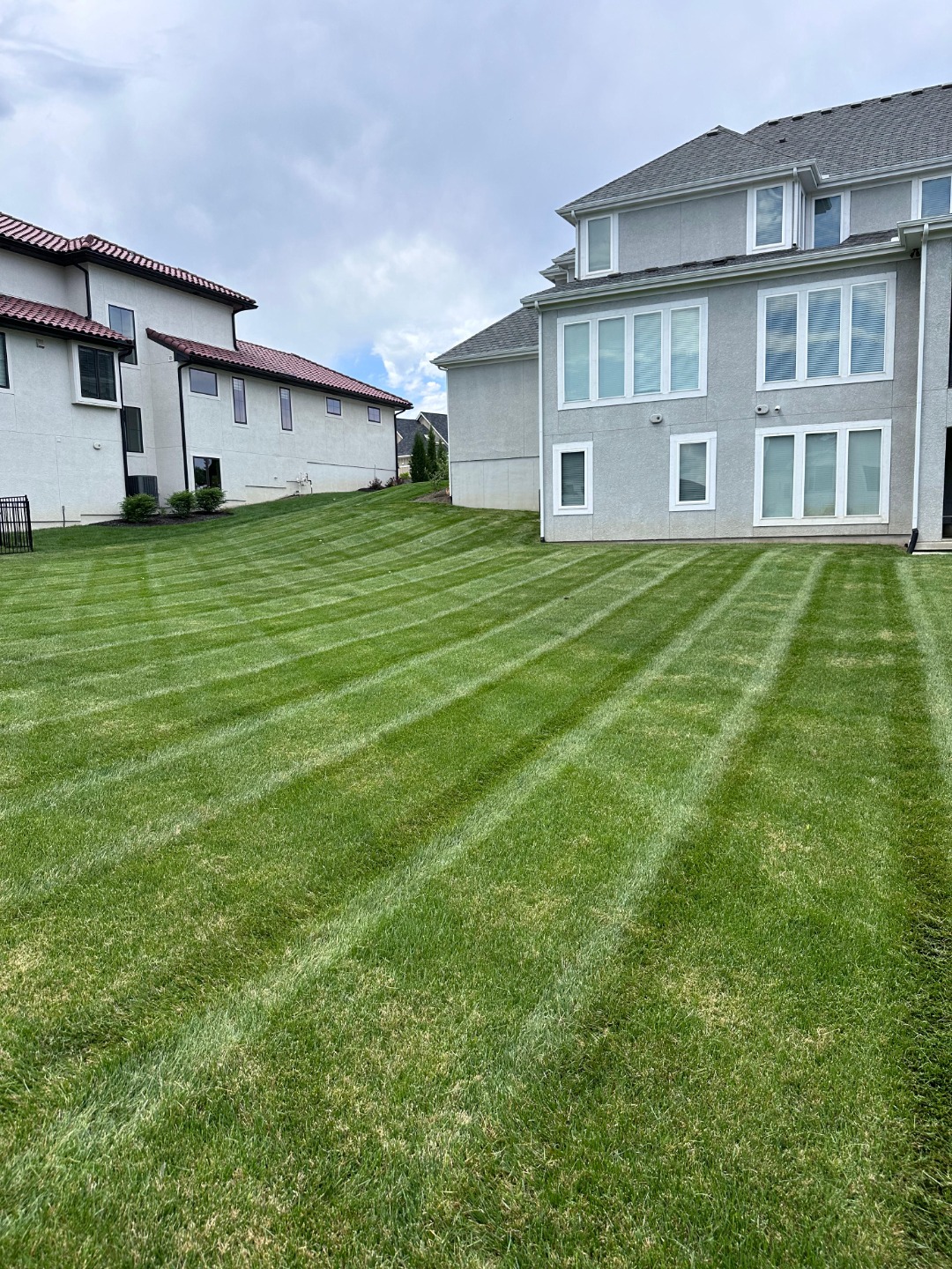 Sloped backyard with defined lawn stripes and clean edging, surrounded by large homes with fresh landscaping beds.